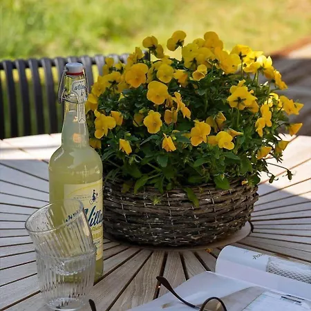 Дом отдыха 0311-romo-strandskaden-10 Molby